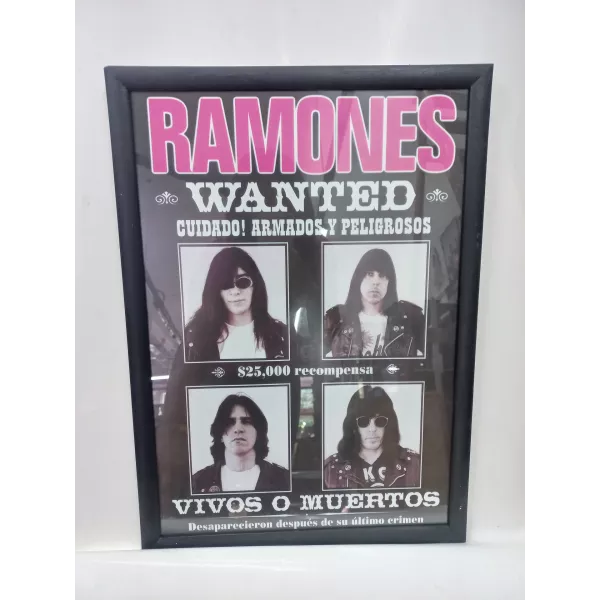 Cuadro Rock Ramones