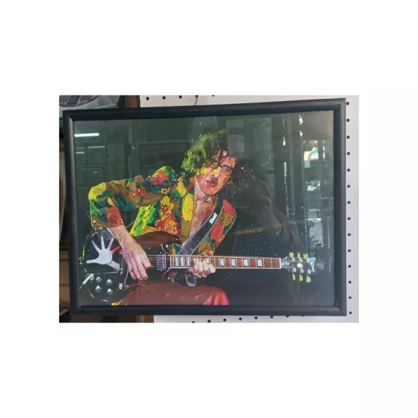 Cuadro Rock Charly H