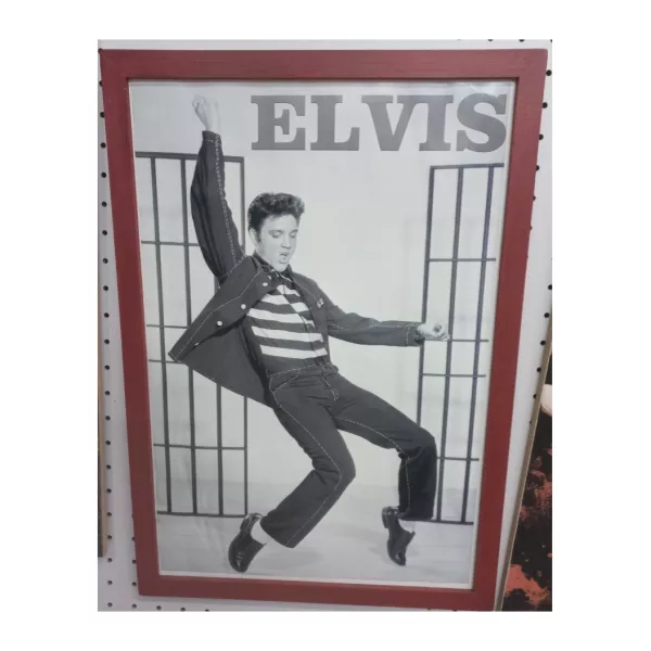Cuadro Rock Elvis