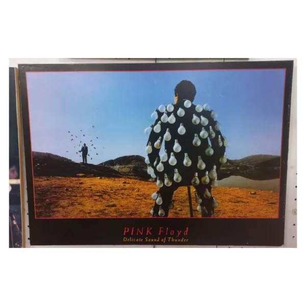 Tabla Pink Floyd Delicate.